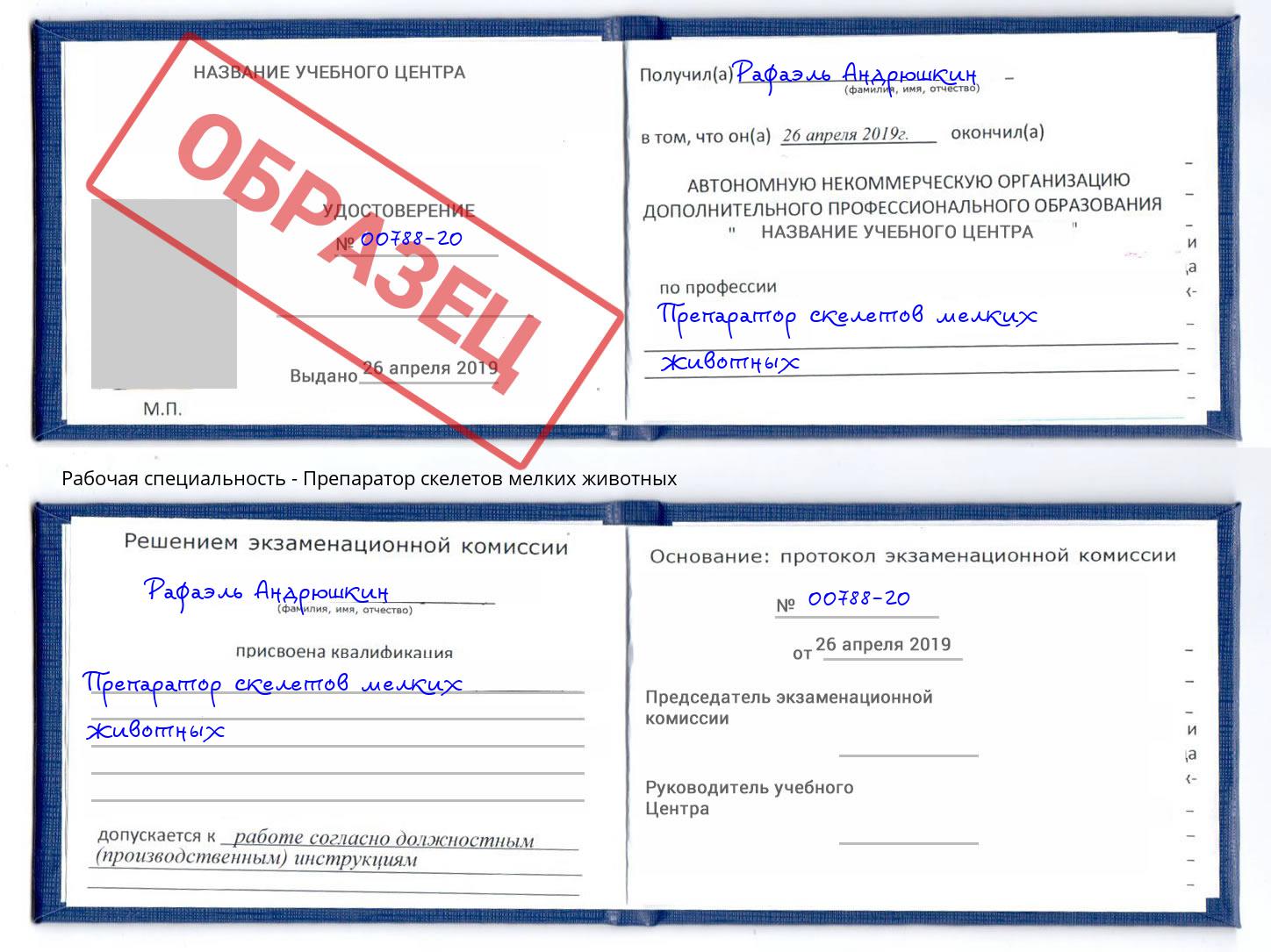 Препаратор скелетов мелких животных Берёзовский