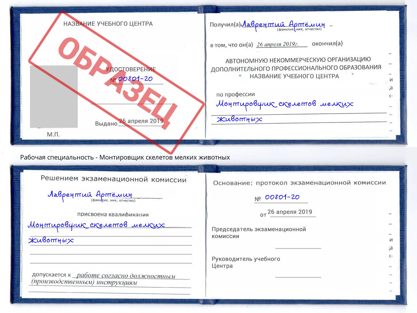 Монтировщик скелетов мелких животных Берёзовский