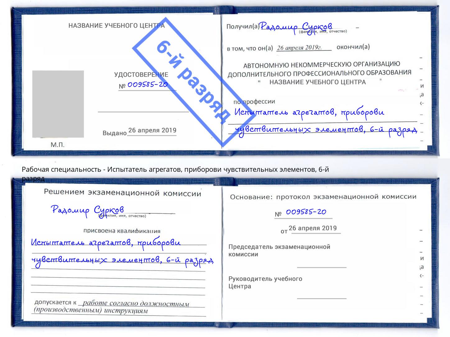 корочка 6-й разряд Испытатель агрегатов, приборови чувствительных элементов Берёзовский