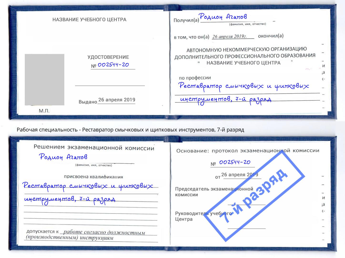 корочка 7-й разряд Реставратор смычковых и щипковых инструментов Берёзовский